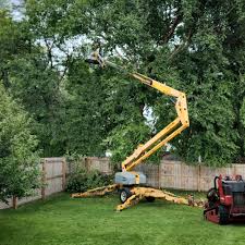 Grass Overseeding in Fort Carson, CO